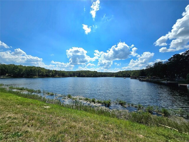 1051 S Lakeview Dr, De Soto, MO 63020 - photo 8