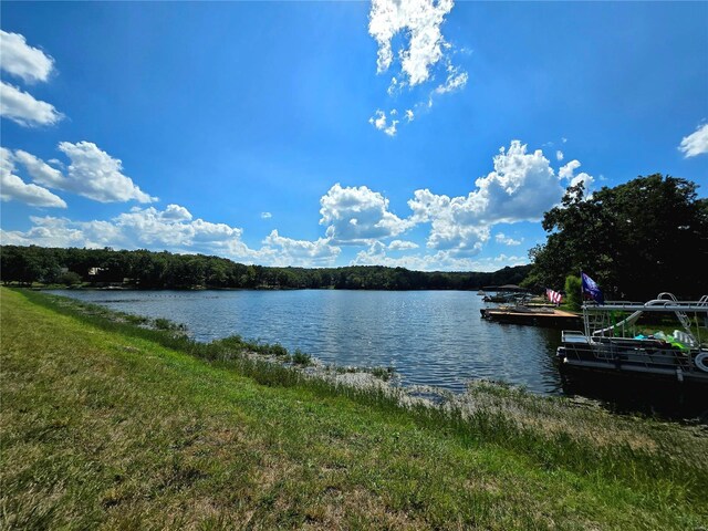 1051 S Lakeview Dr, De Soto, MO 63020 - photo 9