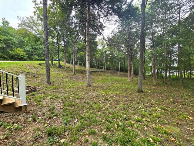 1051 S Lakeview Dr, De Soto, MO 63020 - photo 12