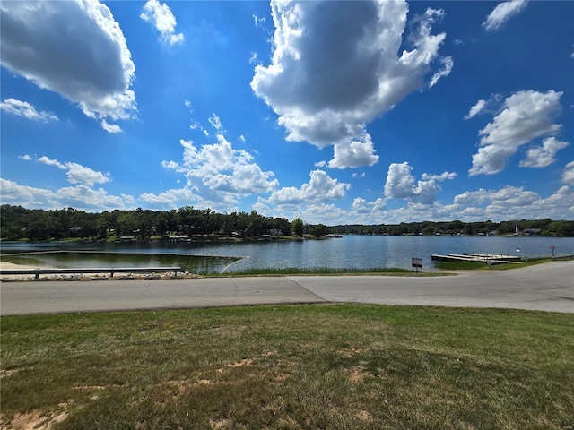 1051 S Lakeview Dr, De Soto, MO 63020 - photo 46