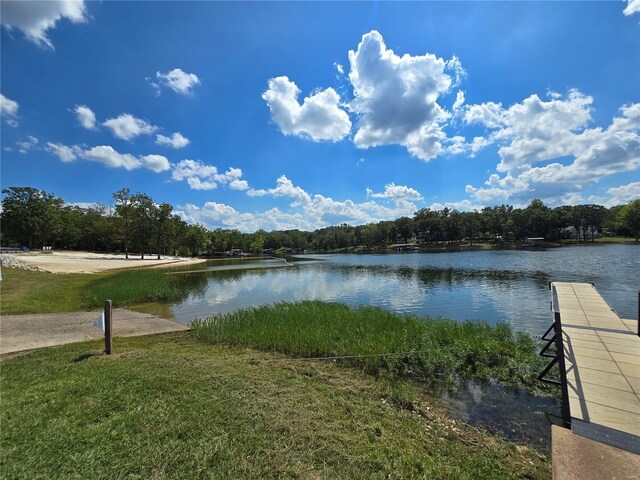 1051 S Lakeview Dr, De Soto, MO 63020 - photo 49