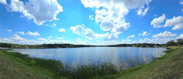 1051 S Lakeview Dr, De Soto, MO 63020 - photo 56