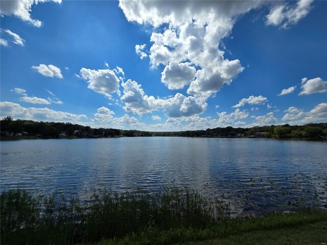 1051 S Lakeview Dr, De Soto, MO 63020 - photo 57