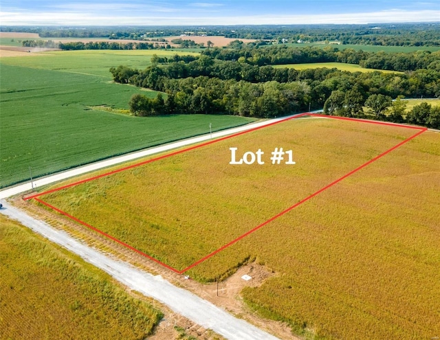 101 Otto Ct, Silex, MO 63377