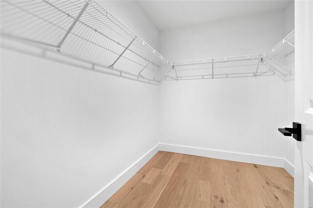 2017 Woodsey Dr, Brentwood, MO 63144 - spacious closet with light wood finished floors