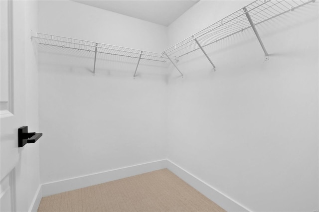 2017 Woodsey Dr, Brentwood, MO 63144 - walk in closet with carpet