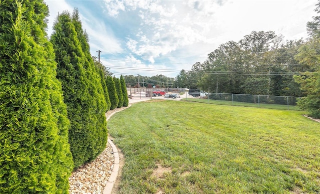 10010 Edmondson Hills Dr, Rolla, MO 65401 - view of yard