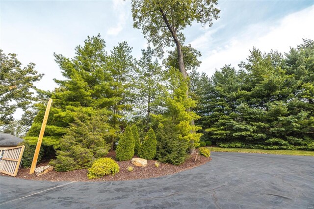 10010 Edmondson Hills Dr, Rolla, MO 65401 - exterior space