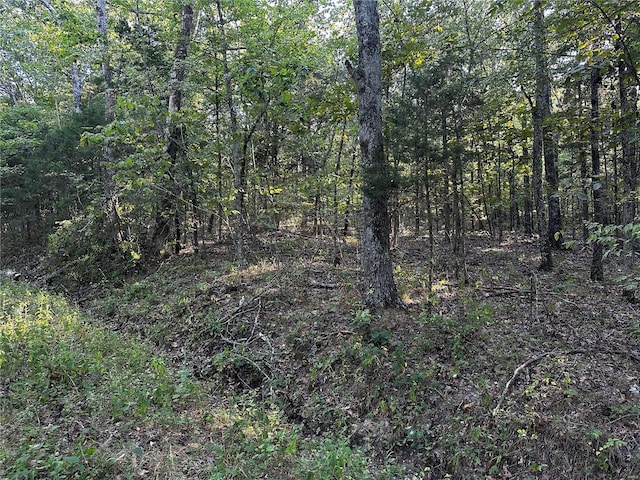 0 Fox Ln, Bonne Terre, MO 63628