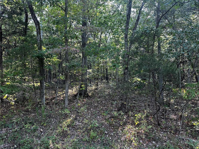 0 Fox Ln, Bonne Terre, MO 63628