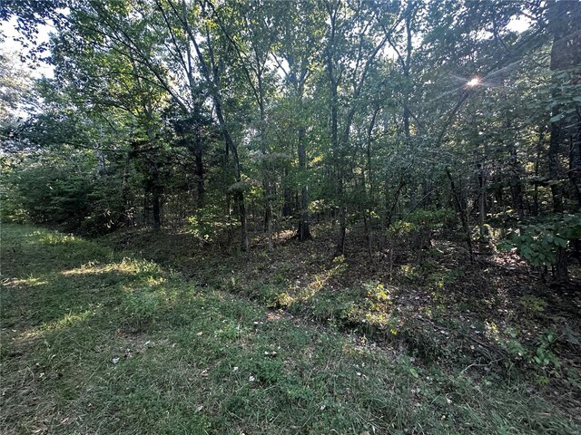 0 Fox Ln, Bonne Terre, MO 63628