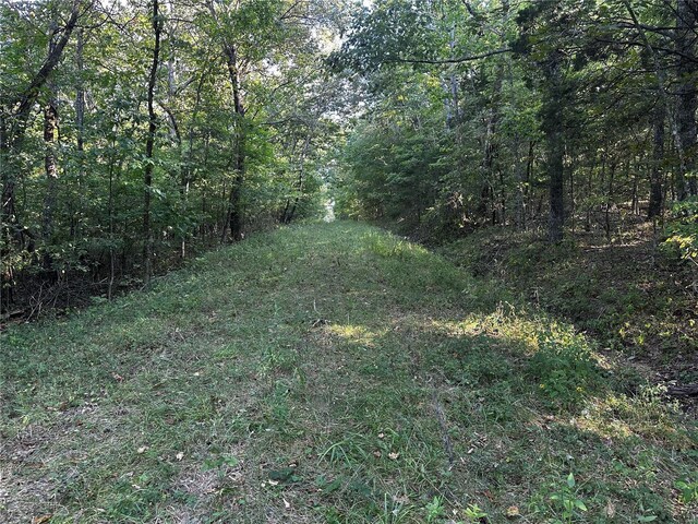 0 Fox Ln, Bonne Terre, MO 63628