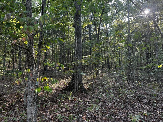 0 Fox Ln, Bonne Terre, MO 63628