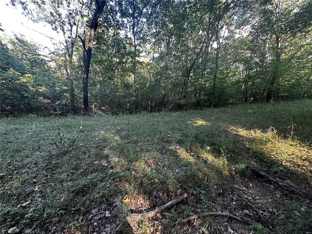 0 Fox Ln, Bonne Terre, MO 63628