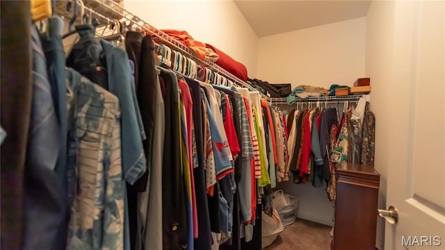 spacious closet featuring carpet flooring