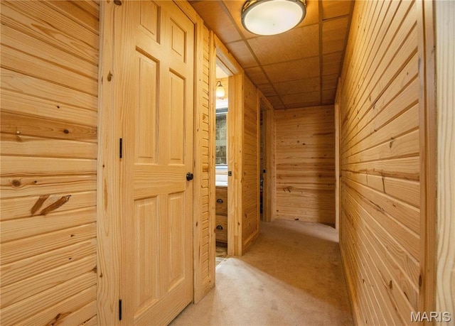 382 Christina Ln, Poplar Bluff, MO 63901 - corridor with wood walls and light carpet