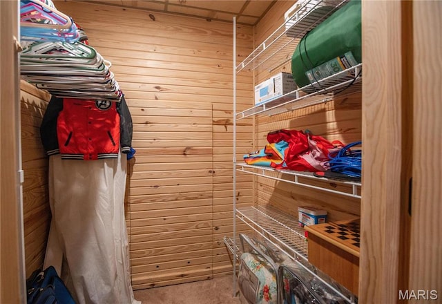 382 Christina Ln, Poplar Bluff, MO 63901 - walk in closet with carpet