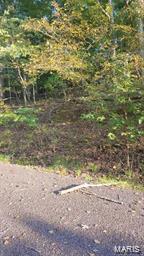 1082 Forest Way, Marthasville, MO 63357