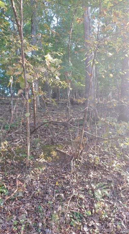 1082 Forest Way, Marthasville, MO 63357