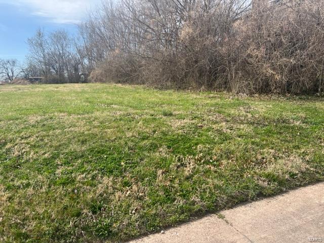 1013 Thornby Pl, Saint Louis, MO 63112 - photo 6