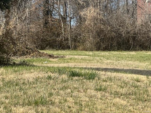 1013 Thornby Pl, Saint Louis, MO 63112 - photo 8