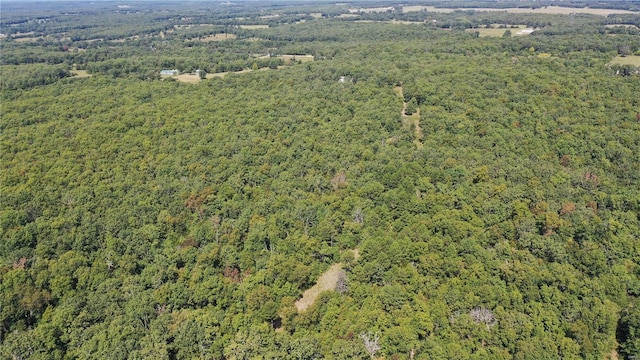 418 County Road 3190, Salem, MO 65560 - photo 51