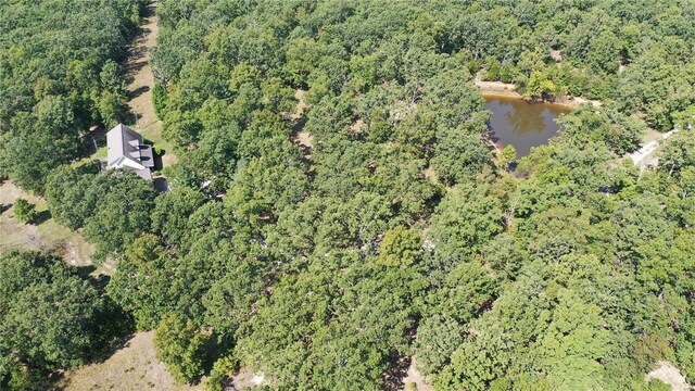418 County Road 3190, Salem, MO 65560 - photo 53