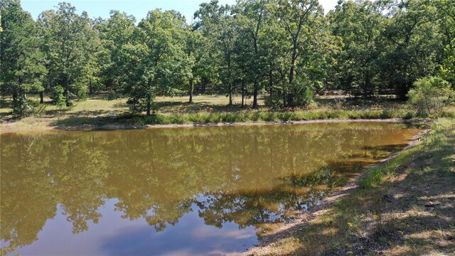 418 County Road 3190, Salem, MO 65560 - photo 36