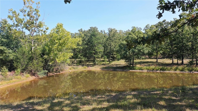 418 County Road 3190, Salem, MO 65560 - photo 37