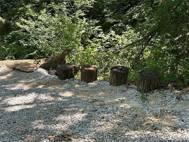 2359 Kitzbuhl Way S, Innsbrook, MO 63390 - view of yard