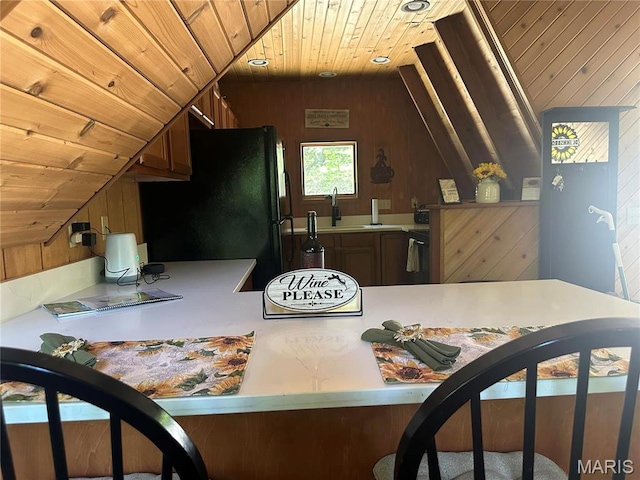 2359 Kitzbuhl Way S, Innsbrook, MO 63390 - kitchen with wooden ceiling, freestanding refrigerator, vaulted ceiling, light countertops, and a sink