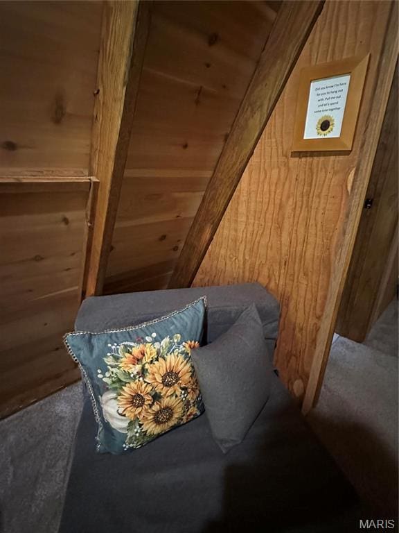 2359 Kitzbuhl Way S, Innsbrook, MO 63390 - bedroom / living area view of wooden walls