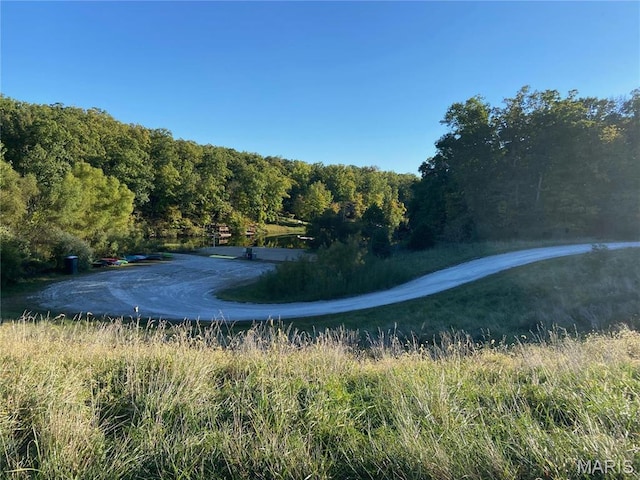 2359 Kitzbuhl Way S, Innsbrook, MO 63390 - water view with a forest