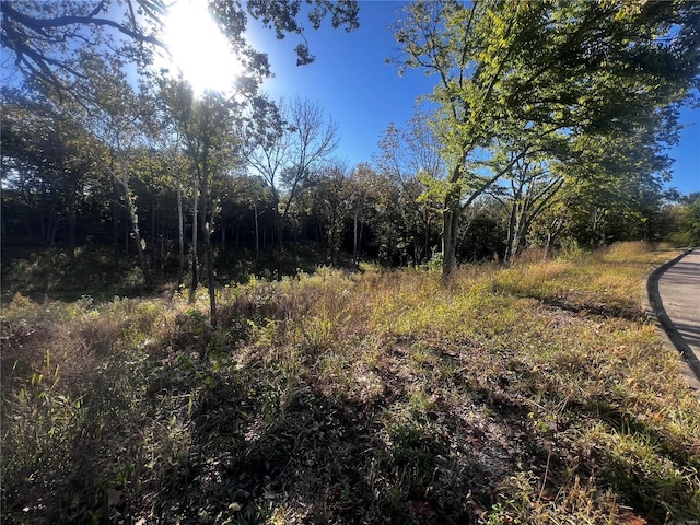 0 Dorothy Dr, Perryville, MO 63775 - photo 1