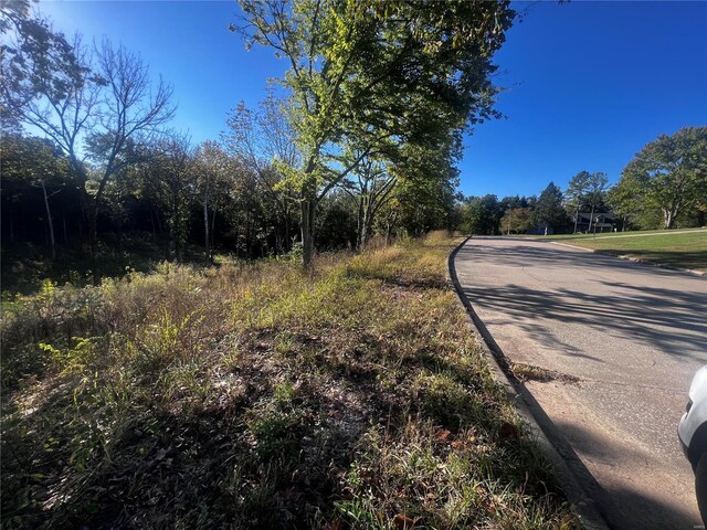 0 Dorothy Dr, Perryville, MO 63775 - photo 3