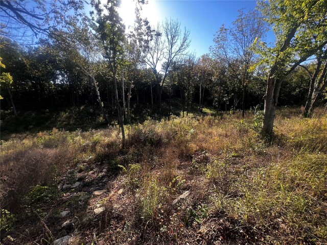 0 Dorothy Dr, Perryville, MO 63775 - photo 11