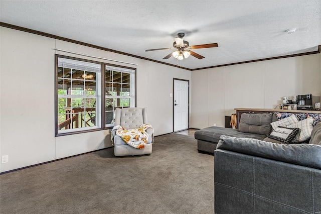 4002 County Road 20, Belleview, MO 63623 - living area featuring ornamental molding, ceiling fan, carpet, and a textured ceiling