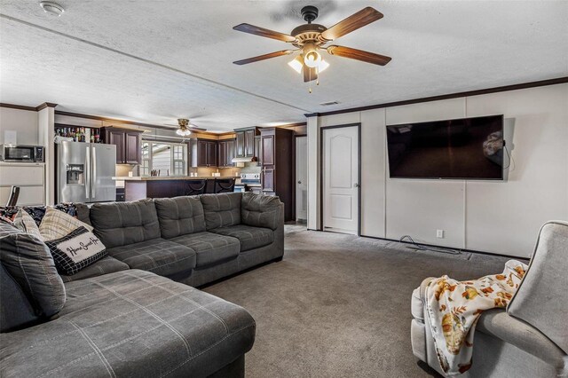 4002 County Road 20, Belleview, MO 63623 - living room featuring crown molding, ceiling fan, a textured ceiling, and carpet floors