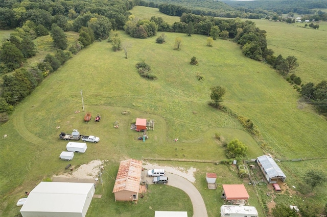 4002 County Road 20, Belleview, MO 63623 - view of rural area with a pastoral area