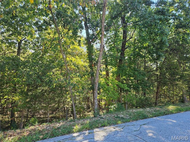 9528 Duffer Dr, Hillsboro, MO 63050 - photo 1