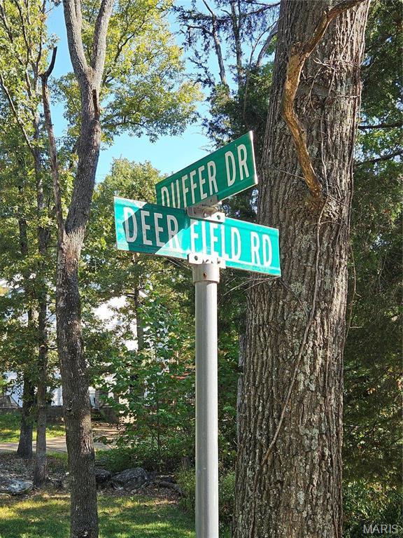 9528 Duffer Dr, Hillsboro, MO 63050 - photo 2