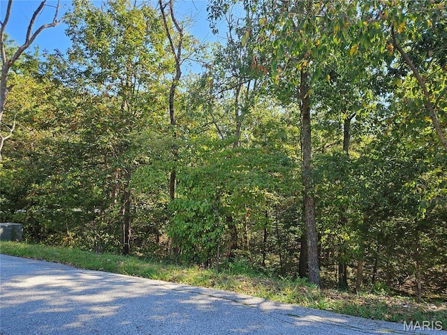 9528 Duffer Dr, Hillsboro, MO 63050 - photo 3