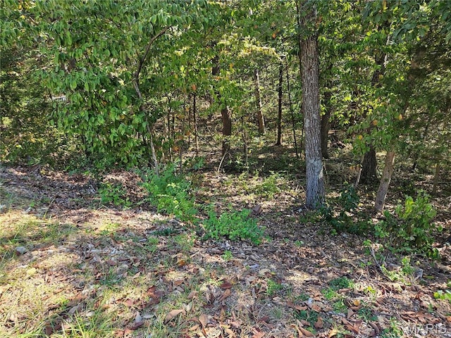 9528 Duffer Dr, Hillsboro, MO 63050 - photo 5