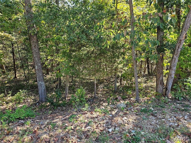9528 Duffer Dr, Hillsboro, MO 63050 - photo 6