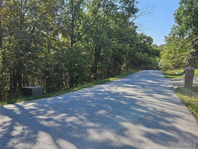 9528 Duffer Dr, Hillsboro, MO 63050 - photo 7