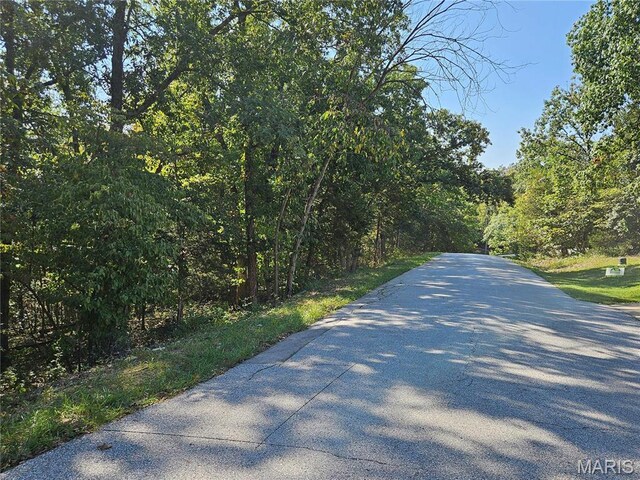 9528 Duffer Dr, Hillsboro, MO 63050 - photo 8