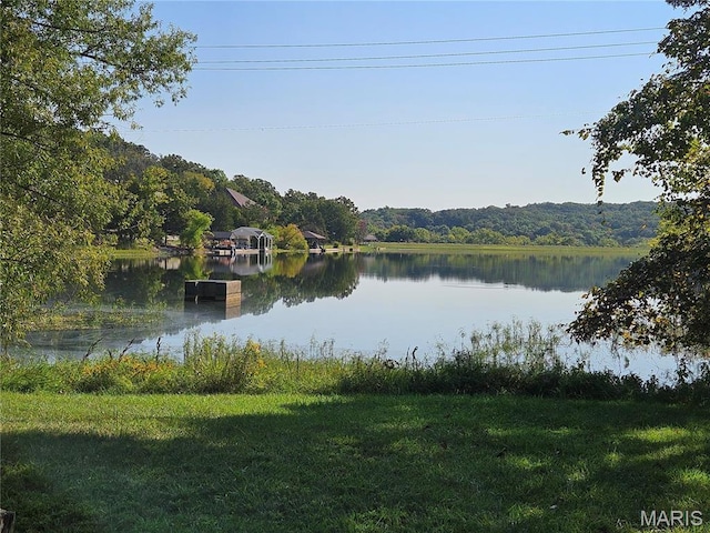 9528 Duffer Dr, Hillsboro, MO 63050 - photo 9