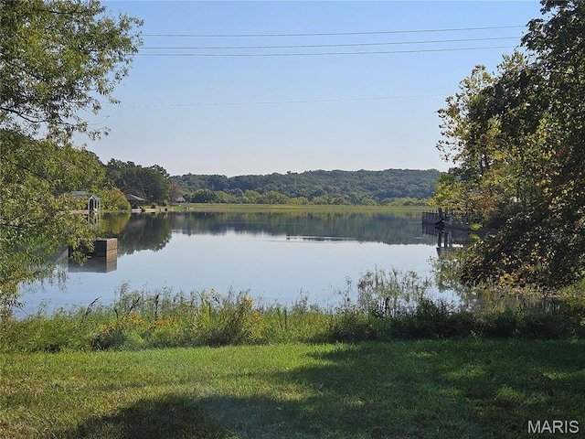 9528 Duffer Dr, Hillsboro, MO 63050 - photo 10