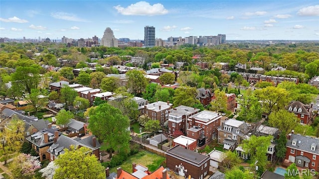 drone / aerial view of a skyline view