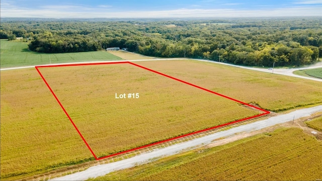 106 Otto Ct, Silex, MO 63377